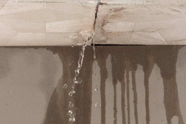 Professional Water Damage Repair technician working in Chase, MI